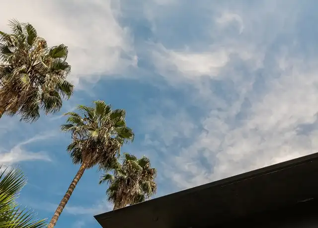 Property at Thistle - 262 N Los Robles Ave, Pasadena, CA, 91101, 1-2 bed, 1 bath, [object Object]