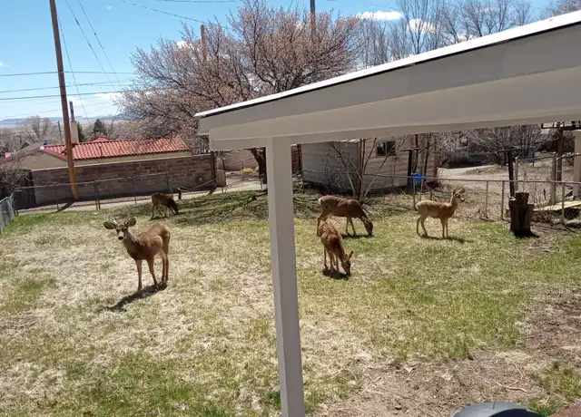 Property at 913 S 6th St, Raton, NM, 87740, 1 bed, 1 bath, [object Object]
