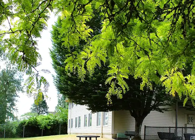 Property at Martin Luther King Jr. Apartments - 7923 Martin Luther King Jr Way S, Seattle, WA, 98118, 1 bed, 1 bath, [object Object]