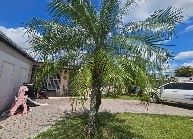 Property at 935 Nana Ave, Orlando, FL, 32809, 1 bed, 1 bath, [object Object]