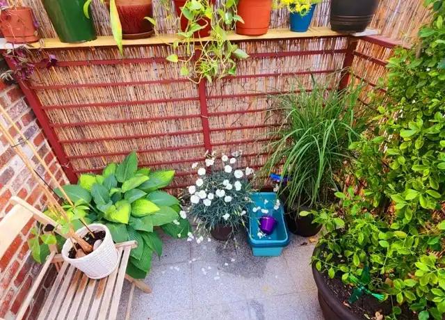Property at 1659 Hancock St, Ridgewood, NY, 11385, 3 beds, 1 bath, [object Object]