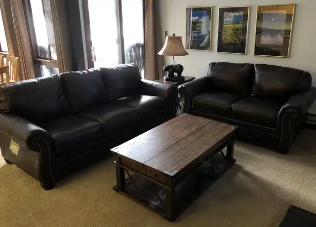 Property at 423 Wild Irishman Rd Unit 1009, Montezuma, CO, 80435, 2 beds, 1 bath, [object Object]