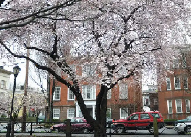 Property at 2 Academy St Unit 3, New Haven, CT, 06511, 3 beds, 1 bath, [object Object]