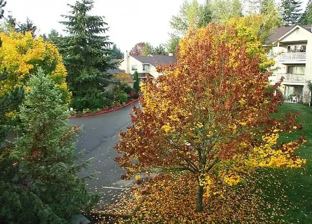 Property at Bridle Estates - 6439 132nd Ave NE, Kirkland, WA, 98033, 2 beds, 2 baths, [object Object]