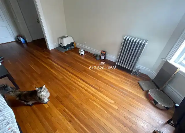 Property at 5 Walbridge St Unit 8, Boston, MA, 02134, 1 bed, 1 bath, [object Object]