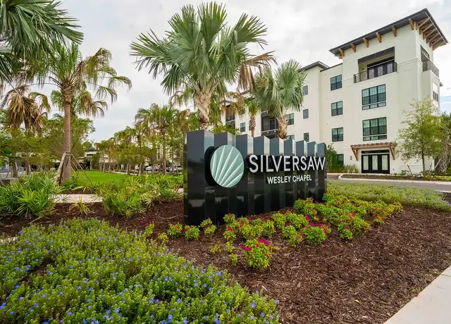 Property at Silversaw - 2990 Citron Gold Blvd, Lutz, FL, 33559, 0-3 beds, 1-2.5 bath, [object Object]