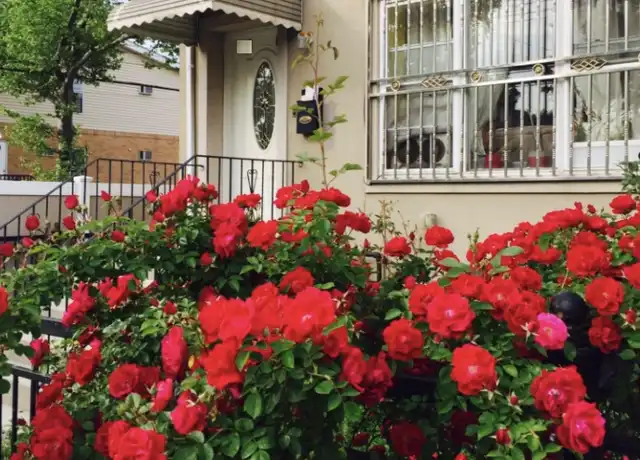 Property at 108-40 Union Hall St Unit 1, Jamaica, NY, 11433, 3 beds, 1 bath, [object Object]