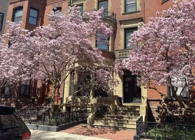 Property at 213 Commonwealth Ave Unit 10, Boston, MA, 02116, 1 bed, 1 bath, [object Object]