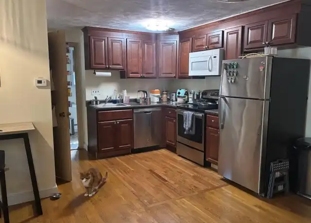 Property at 445 Washington St, Brighton, MA, 02135, 1 bed, 1 bath, [object Object]