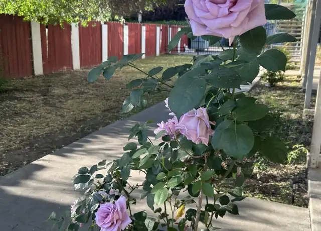 Property at 120 E Fairmont Ave Unit 3, Modesto, CA, 95354, 1 bed, 1 bath, [object Object]