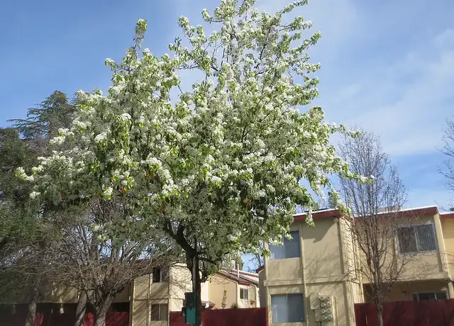 Property at American River Gardens - 4942 Ferigo Ln, Sacramento, CA, 95841, 1 bed, 1 bath, [object Object]