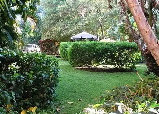 Property at Gem Cove Apartments - 1075 NE 39th St, Oakland Park, FL, 33334, 0-1 beds, 1 bath, [object Object]