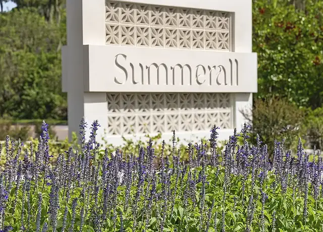 Photo of 5701 Summerall Vista Cir, Riverview, FL 33578