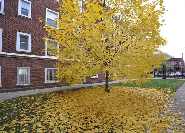 Property at 4400 WINCHESTER - 4400 N Winchester Ave, Chicago, IL, 60640, 0 beds, 1 bath, [object Object]