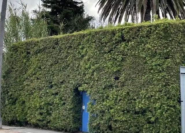 Property at 926 California Ave, Venice, CA, 90291, 2 beds, 1 bath, [object Object]