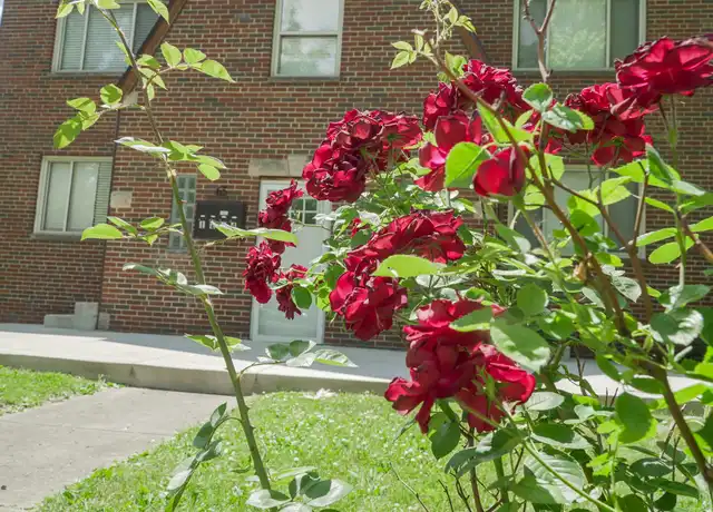 Property at 65 N Brinker Ave, Columbus, OH, 43204, 1 bed, 1 bath, [object Object]