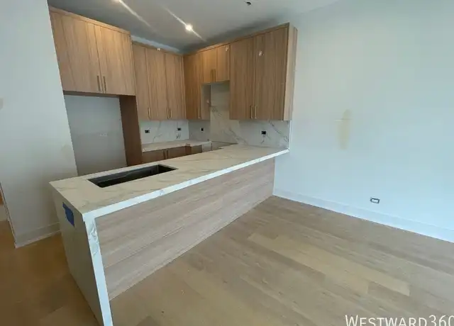 Property at 2040 W Washington Blvd Unit 1, Chicago, IL, 60612, 4 beds, 2.5 baths, [object Object]