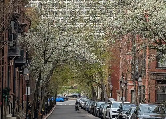 Property at 63 Hancock St Unit BF, Boston, MA, 02114, 1 bed, 1 bath, [object Object]