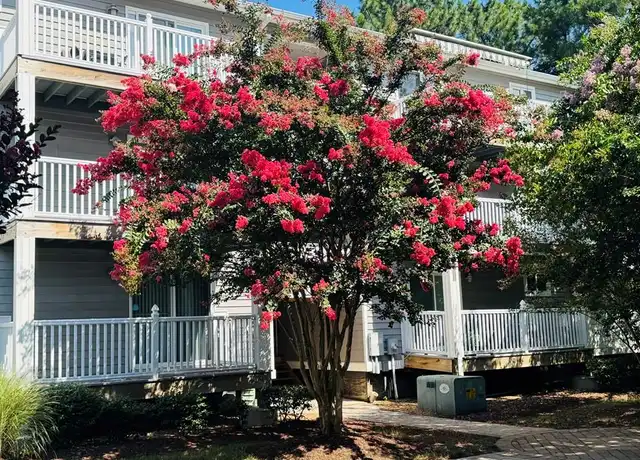 Property at 1120 Ocean Trace Ln #201, Virginia Beach, VA, 23451, 2 beds, 2 baths, [object Object]