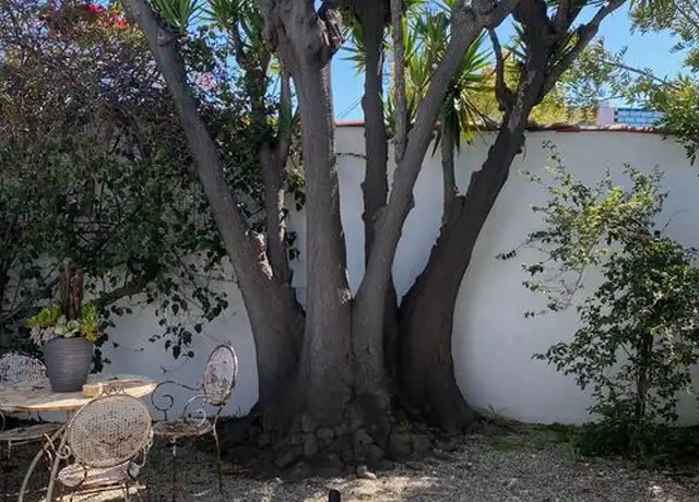 Property at 1053 S Alfred St Unit A, Los Angeles, CA, 90035, 0 beds, 1 bath, [object Object]