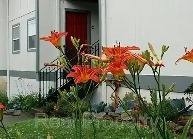 Property at 1171 16th Ave S, Birmingham, AL, 35205, 1 bed, 1 bath, [object Object]