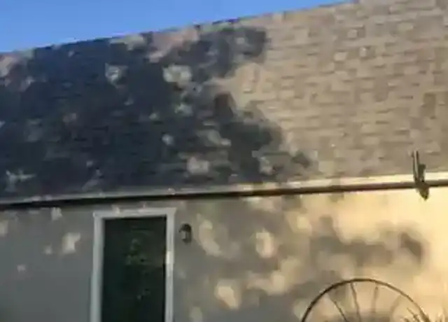 Property at 7778 E Realty Rd, Lodi, CA, 95240, 1 bed, 2 baths, [object Object]