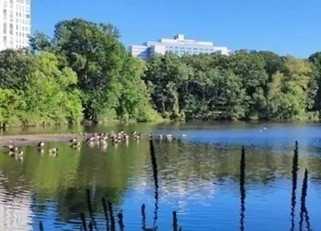 Property at 175 High St Unit 1R-PARK, Brookline, MA, 02445, 2 beds, 1 bath, [object Object]