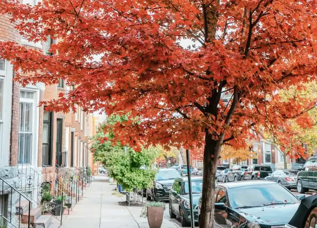 Property at 816 Newington Ave Unit Bedroom 1, Baltimore, MD, 21217, 4 beds, 2 baths, [object Object]