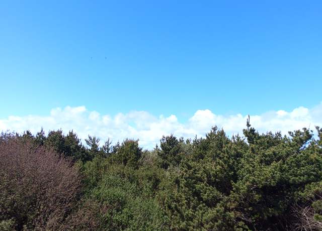 Photo of 601 Ocean Shores Blvd NW, Ocean Shores, WA 98569