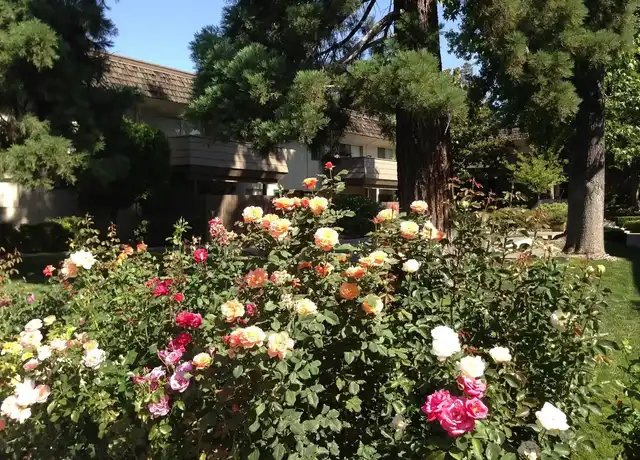 Property at Hacienda Apartments - 2666 Cottage Way, Sacramento, CA, 95825, 2 beds, 1-1.5 bath, [object Object]