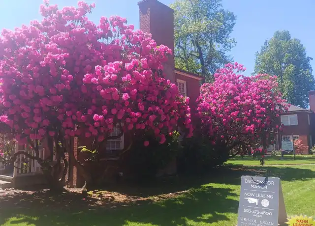 Property at 7905 SW Cedar St Unit 36, Portland, OR, 97225, 1 bed, 1 bath, [object Object]