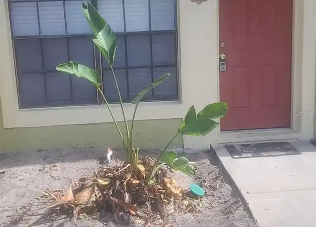 Property at 7437 Belle River Ct #7, Winter Park, FL, 32792, 2 beds, 2.5 baths, [object Object]