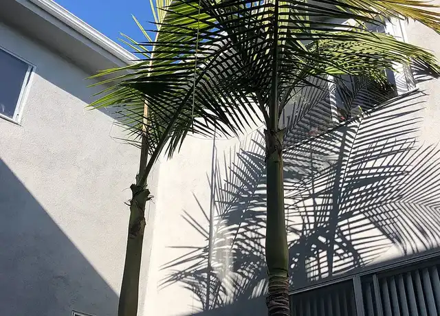 Property at LUXURY LIVING AT AN AFFORDABLE PRICE - 11007 Palms Blvd, Los Angeles, CA, 90034, 2 beds, 2 baths, [object Object]