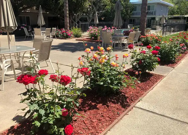 Property at Alto Riviera Apt's - 340 Ventura Ave, Palo Alto, CA, 94306, 1 bed, 1 bath, [object Object]