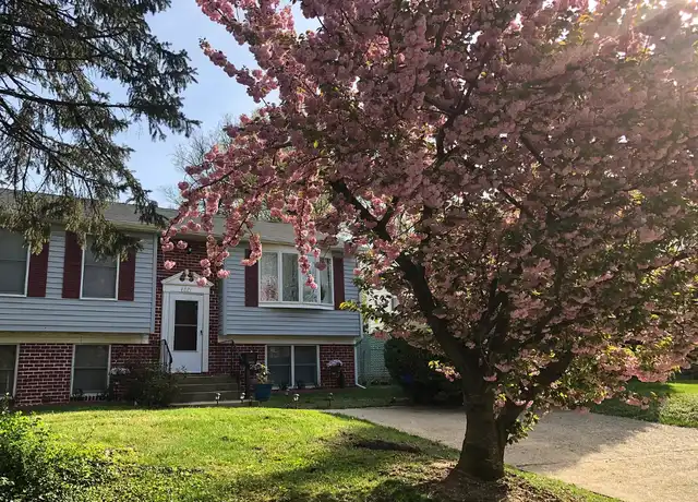 Property at 4821 Fox St, College Park, MD, 20740, 4 beds, 3 baths, [object Object]
