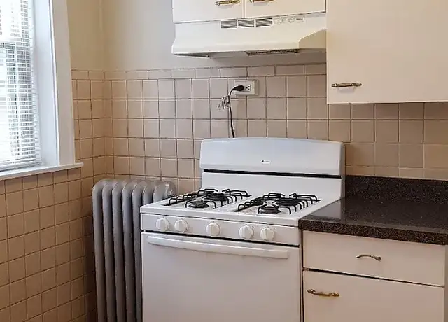 Photo of 1022 N Austin Blvd, Oak Park, IL 60302