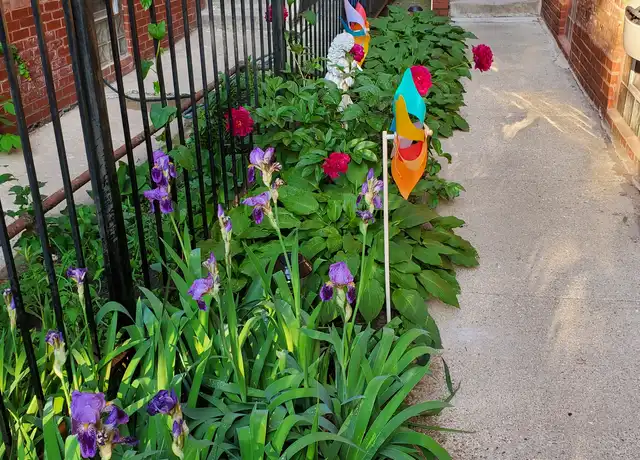 Property at 919 N Leavitt St Unit 2F, Chicago, IL, 60622, 2 beds, 1 bath, [object Object]