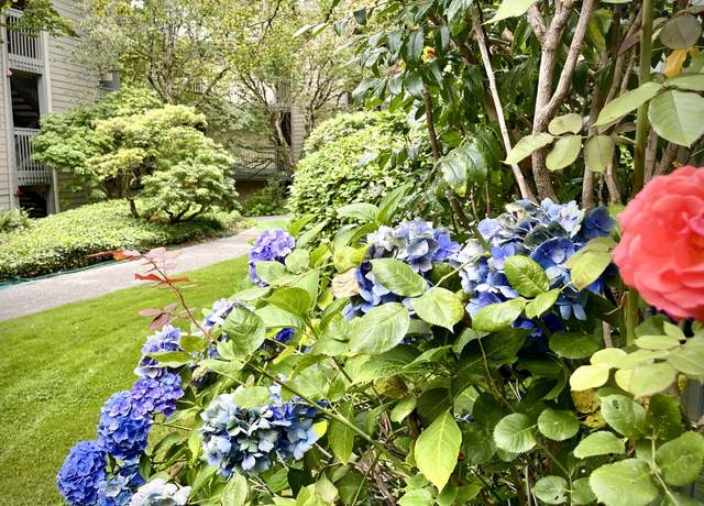 Photo of 330 Grow Ave NW, Bainbridge Island, WA 98110