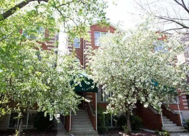 Property at 916 N Paulina St, Chicago, IL, 60622, 3 beds, 2 baths, [object Object]