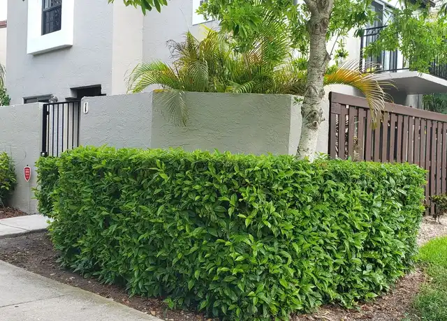 Property at 10425 SW 154th Ct #1, Miami, FL, 33196, 2 beds, 2 baths, [object Object]
