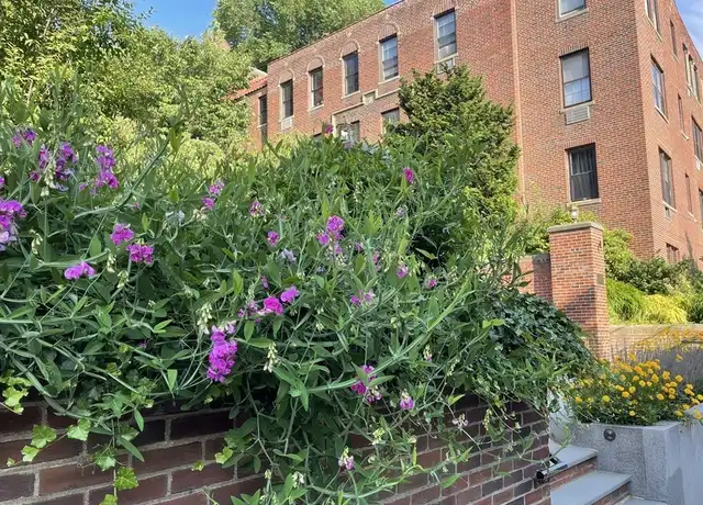 Property at 311 Tappan St #1, Brookline, MA, 02445, 2 beds, 2 baths, [object Object]