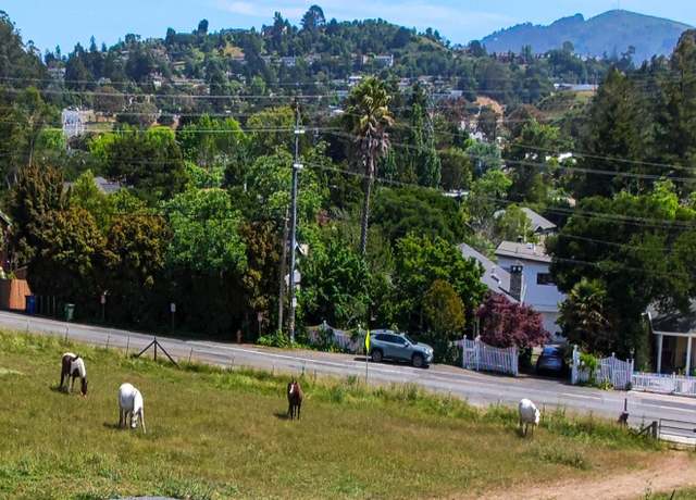 Photo of 12 Greenfield Ct, Mill Valley, CA 94941