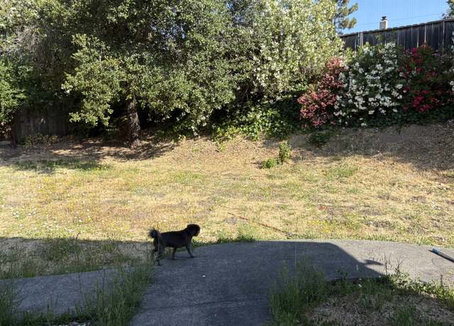 Photo of 3 San Marcos Ct, Novato, CA 94945