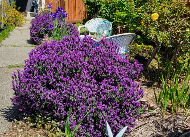 Property at 2436 Shoreline Dr, Napa, CA, 94558, 1 bed, 1 bath, [object Object]