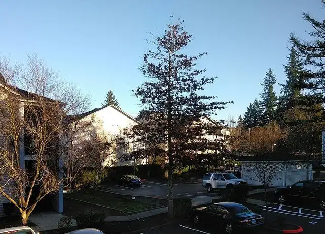 Photo of 12923 SE Foster Rd, Portland, OR 97236