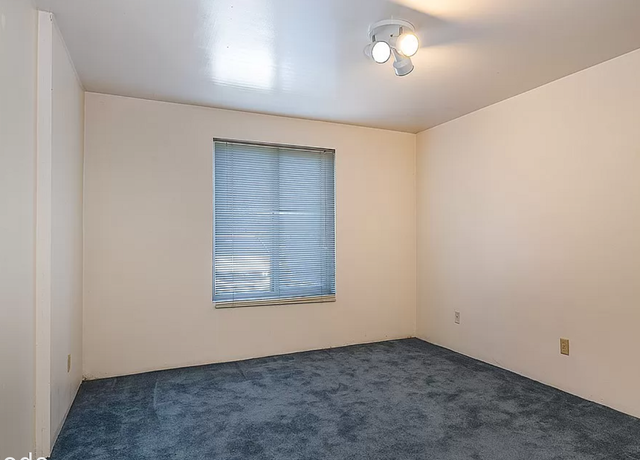 Apartments For Rent 98125