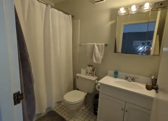 Property at 33 W Delaware Pl Unit 9C, Chicago, IL, 60610, 1 bed, 1 bath, [object Object]