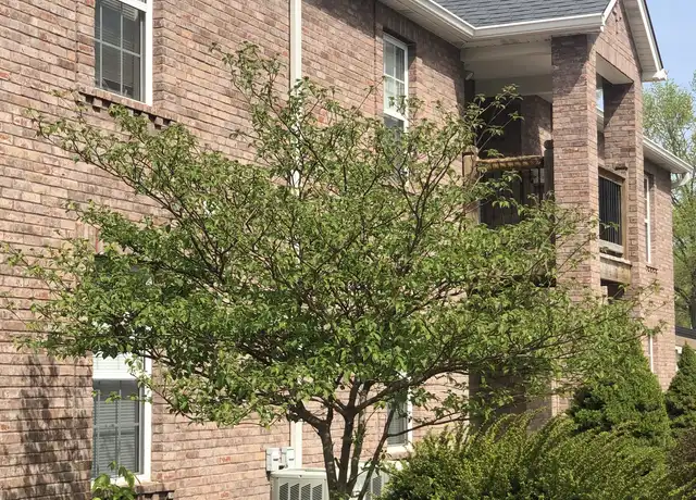 Property at 1545 W Pacific St Unit 207, Pacific, MO, 63069, 2 beds, 1 bath, [object Object]
