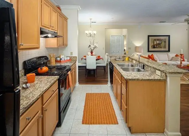 Photo of 10011 Balaye Run Dr, Tampa, FL 33619