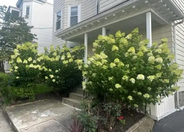 Property at 296 Summit Ave, Brighton, MA, 02135, 3 beds, 1 bath, [object Object]